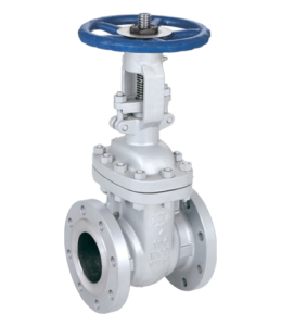 Cast-Gate-Valve-1-1-259x300