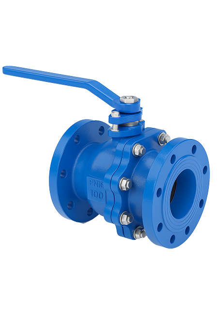 Forged Gate, Globe & Check Valves